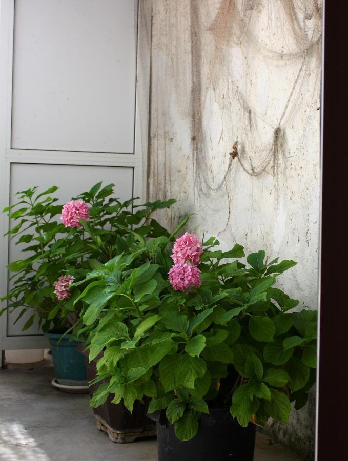 חוואר Rooms & Apartments Dolac מראה חיצוני תמונה